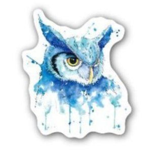 Meet your Posher, Amanda from Blue Owl Shop